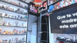 crazypilar  26-10-2020